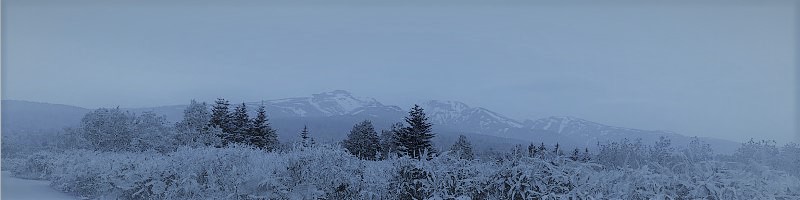 PCEX}[gtHӋ@ȂT_CNgTCg